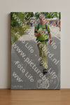 Evenement foto: Nijmeegse Vierdaagse 983