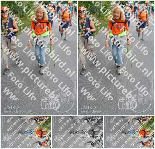 Evenement foto: Nijmeegse Vierdaagse 983