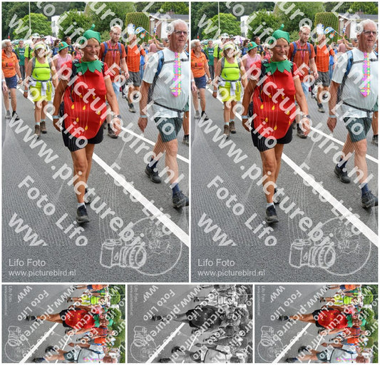 Evenement foto: Nijmeegse Vierdaagse 983