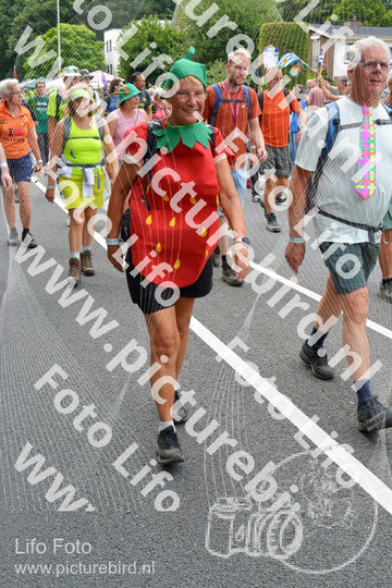 Evenement foto: Nijmeegse Vierdaagse 983