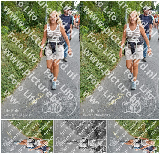 Evenement foto: Nijmeegse Vierdaagse 983