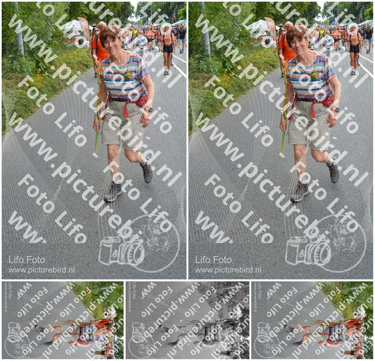 Evenement foto: Nijmeegse Vierdaagse 983