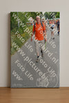 Evenement foto: Nijmeegse Vierdaagse 983