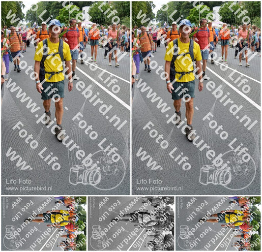 Evenement foto: Nijmeegse Vierdaagse 983