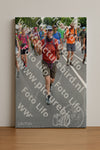 Evenement foto: Nijmeegse Vierdaagse 983
