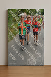Evenement foto: Nijmeegse Vierdaagse 983