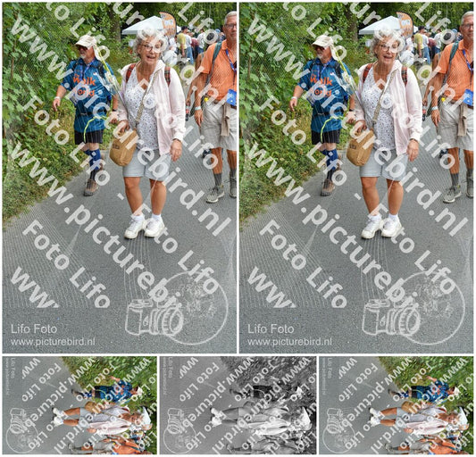 Evenement foto: Nijmeegse Vierdaagse 983