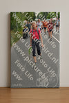 Evenement foto: Nijmeegse Vierdaagse 982