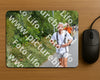 Evenement foto: Nijmeegse Vierdaagse 982