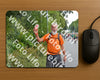 Evenement foto: Nijmeegse Vierdaagse 982