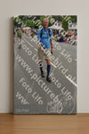Evenement foto: Nijmeegse Vierdaagse 982