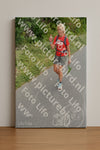 Evenement foto: Nijmeegse Vierdaagse 982