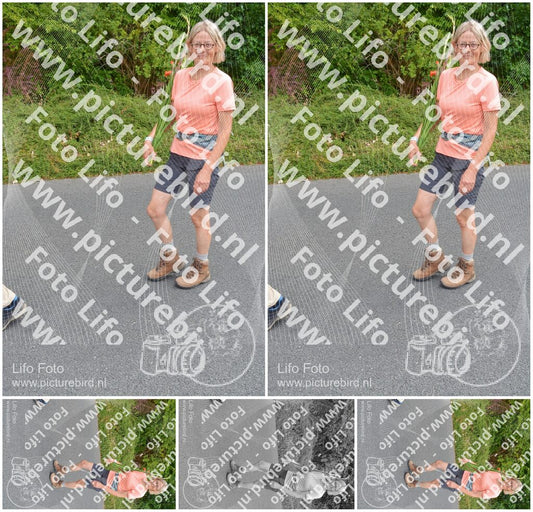 Evenement foto: Nijmeegse Vierdaagse 982