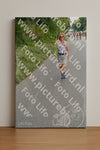 Evenement foto: Nijmeegse Vierdaagse 982