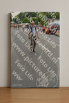Evenement foto: Nijmeegse Vierdaagse 982