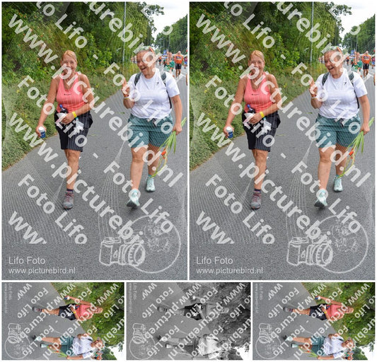 Evenement foto: Nijmeegse Vierdaagse 982