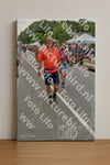 Evenement foto: Nijmeegse Vierdaagse 982