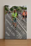 Evenement foto: Nijmeegse Vierdaagse 982