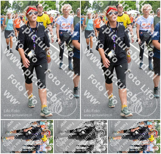 Evenement foto: Nijmeegse Vierdaagse 982