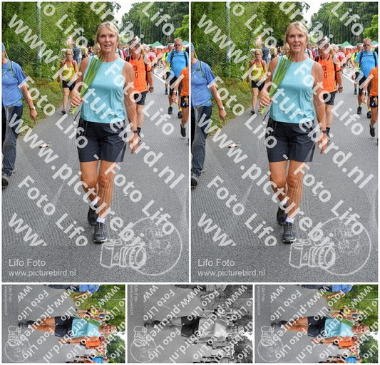Evenement foto: Nijmeegse Vierdaagse 982