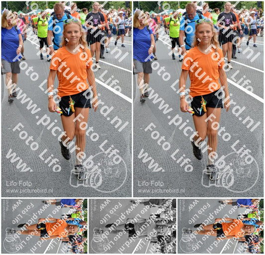 Evenement foto: Nijmeegse Vierdaagse 982