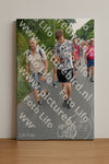 Evenement foto: Nijmeegse Vierdaagse 982