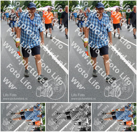 Evenement foto: Nijmeegse Vierdaagse 982
