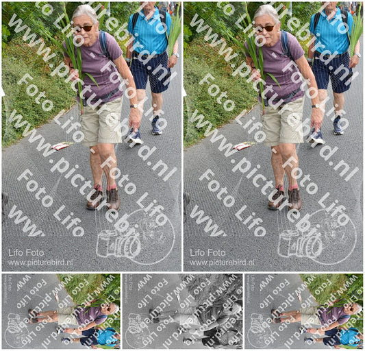 Evenement foto: Nijmeegse Vierdaagse 982