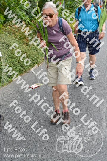 Evenement foto: Nijmeegse Vierdaagse 982