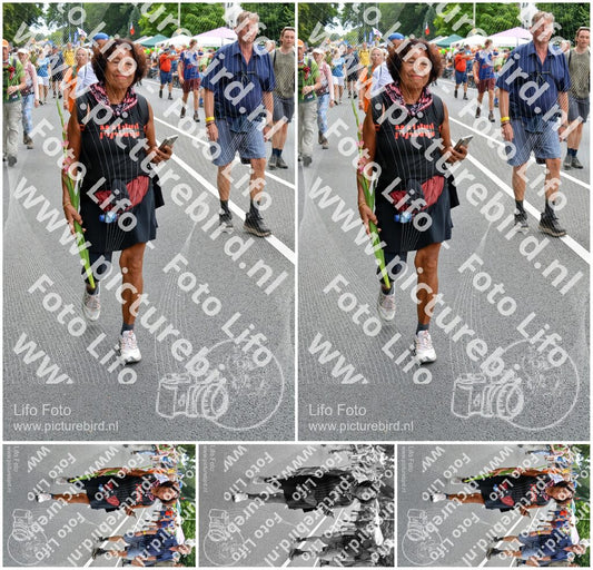 Evenement foto: Nijmeegse Vierdaagse 982