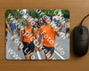 Evenement foto: Nijmeegse Vierdaagse 982