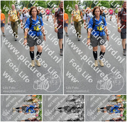 Evenement foto: Nijmeegse Vierdaagse 982