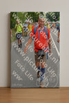 Evenement foto: Nijmeegse Vierdaagse 982
