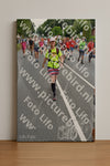 Evenement foto: Nijmeegse Vierdaagse 982
