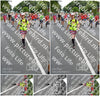 Evenement foto: Nijmeegse Vierdaagse 982