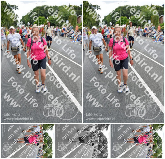 Evenement foto: Nijmeegse Vierdaagse 982