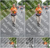 Evenement foto: Nijmeegse Vierdaagse 982