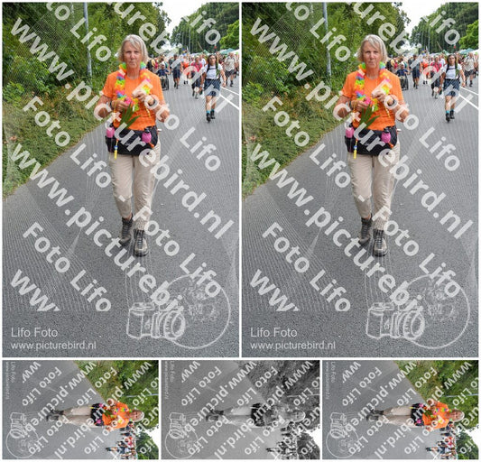 Evenement foto: Nijmeegse Vierdaagse 982