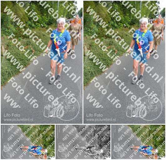 Evenement foto: Nijmeegse Vierdaagse 981