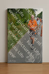 Evenement foto: Nijmeegse Vierdaagse 981