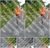 Evenement foto: Nijmeegse Vierdaagse 981