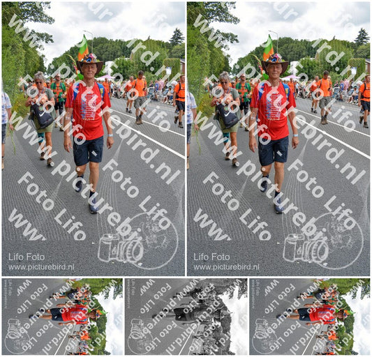 Evenement foto: Nijmeegse Vierdaagse 981