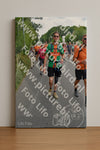 Evenement foto: Nijmeegse Vierdaagse 981