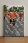Evenement foto: Nijmeegse Vierdaagse 981