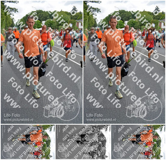 Evenement foto: Nijmeegse Vierdaagse 981