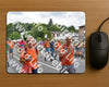 Evenement foto: Nijmeegse Vierdaagse 981