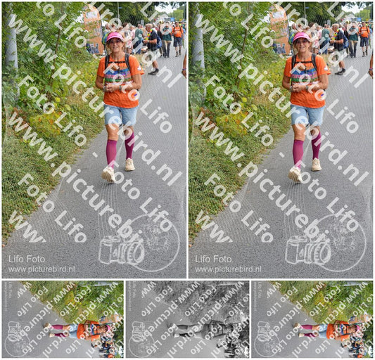 Evenement foto: Nijmeegse Vierdaagse 981