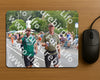 Evenement foto: Nijmeegse Vierdaagse 981