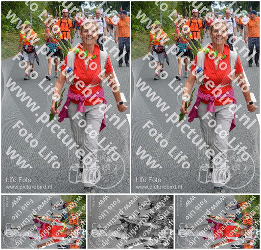 Evenement foto: Nijmeegse Vierdaagse 981