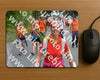 Evenement foto: Nijmeegse Vierdaagse 981